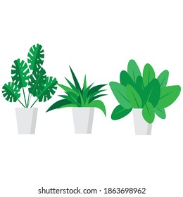 poner flores interiores en la ilustración vectorial de macetas blancas.