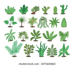 Set of indoor and garden flowers in flat style isolated on white background.