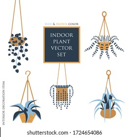 Conjunto de vectores de plantas colgantes interiores de color azul y marrón. Accesorios interiores. Elementos decorativos de las habitaciones.