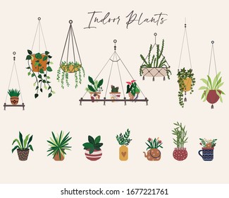 Set of Indoor house Plant Illustration. Hand Drawn Pots and Planters Vector art. 