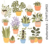 Set of of indoor house plants in decorative pots. Cute flat vector botanical illustrations perfect for home decor design, stickers, gardening themes, planners and print products.