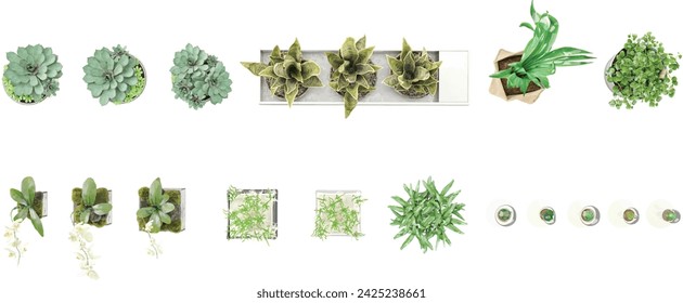 Set of indoor house plants in pots from top view