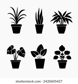 set of indoor ornamental plant icons, white background
