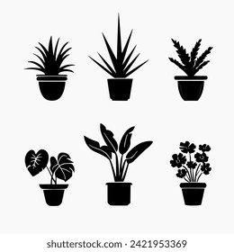 set of indoor ornamental plant icons. white background
