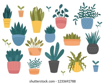 Set of indoor and outdoor decorative garden potted plants. Collection of flower pots of different shapes. Hand drawn cartoon, Scandinavian Hygge style. Vector illustration isolated on white background