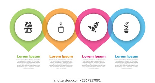 Set Indoor plant ivy in a pot, Sprout bottle, Tropical leaves and Exotic tropical. Business infographic template. Vector