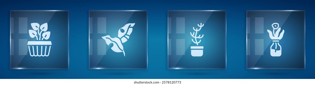 Set Indoor plant ivy in a pot, Tropical leaves, Exotic tropical and Flower glass bottle. Square glass panels. Vector