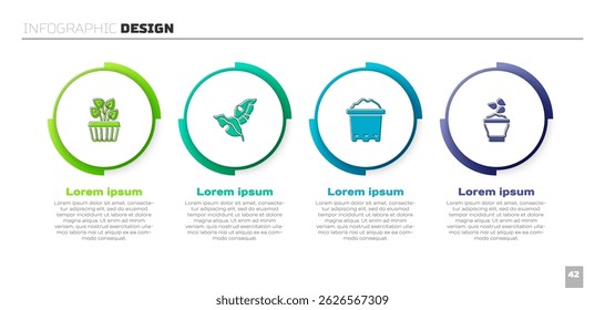 Set Indoor plant ivy in a pot, Tropical leaves, Pot with soil and Seeds bowl. Business infographic template. Vector