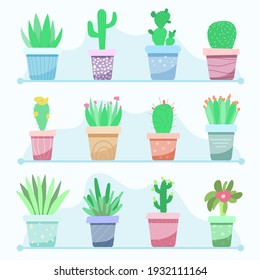 set of indoor plants. beauty for the home. succulents, cacti.