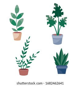 conjunto de plantas interiores en macetas marrones, objeto aislado sobre fondo blanco, ilustración vectorial, eps