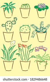 Set of indoor plants in brown pots.