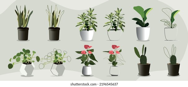 Set of indoor plants collections