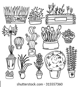 Set of indoor plants.It contains violet, cactus and others in a box, a glass jar, jars, pots. White background. Painted in scribbles.