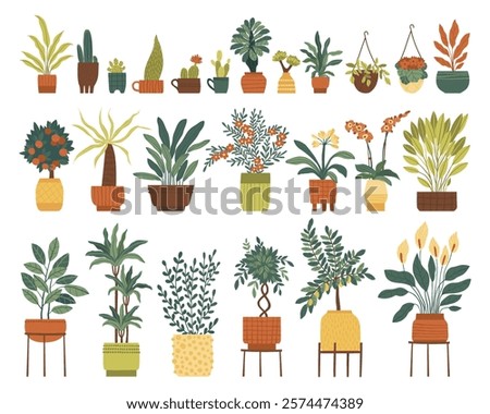 Set of indoor plants in different pots. Flowering and leafy plants in pots, on a stand and in a cachepot. Flat vector illustration.