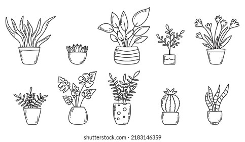 Set of indoor plants in doodle style. Houseplants. Vector illustration. Home flowers in pots.