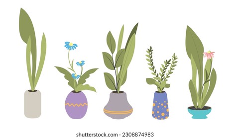 Set of indoor plants. Five plants with flowers and leaves in colorful flower pots. Flat vector illustration. 