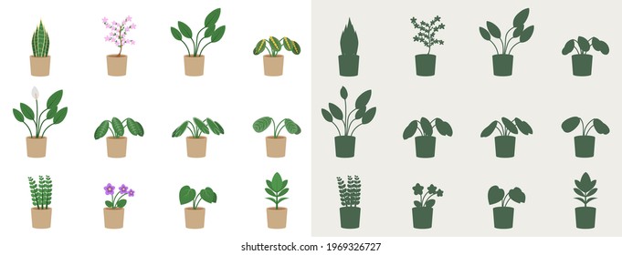 Set of indoor plants in a flat style and silhouettes. Vector illustration of flowers in pots.