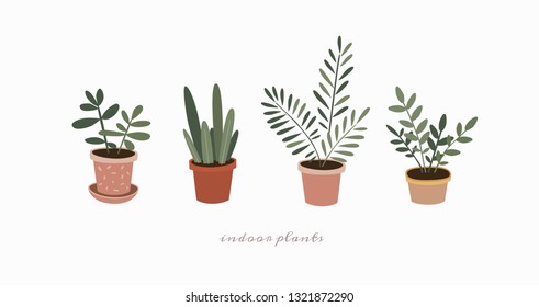 Set of indoor plants in flower pots. Home green plants of various shapes. Scandinavian style illustration, home decor. Vector illustration on white isolated background. 