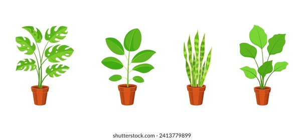 Set of indoor plants in flower pots. Vector illustration of ficus, sansevieria and calathea in flat style