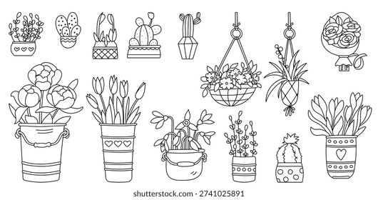 Set Of Indoor Plants And Flowers And A Coloring Page For Children And Adults