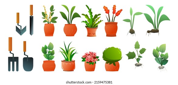 Set of Indoor plants and flowers. Garden tools and seedlings. In ceramic pots. Homemade beautiful herbs. Isolated on white background. Cartoon fun style. Vector.