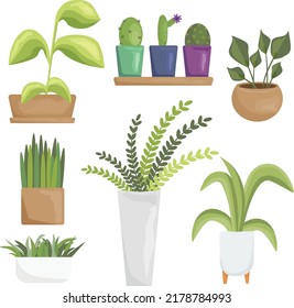 set of indoor plants, greens in pots. flower in a vase. pots for indoor.garden collection icons isolated on white