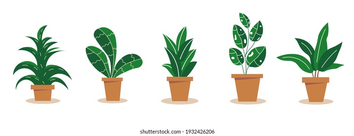 Un conjunto de plantas interiores a mano. Ilustración plana del vector