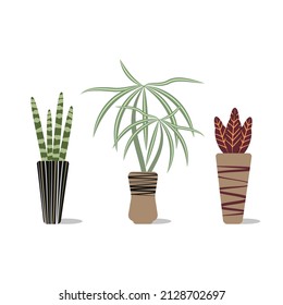 A set of indoor plants in handfuls. Vector flat illustration