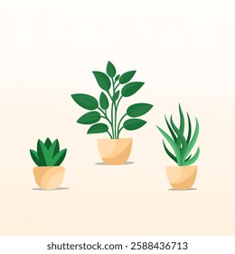 Set of indoor plants for home decoration. Indoor plant collection design in an isolated background. Natural tree design vector. Trendy and beautiful indoor plant illustration design. 