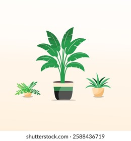 Set of indoor plants for home decoration. Indoor plant collection design in an isolated background. Natural tree design vector. Trendy and beautiful indoor plant illustration design. 