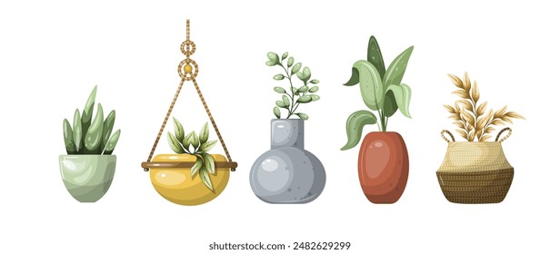 Set of indoor plants. Isolate on a white background, vector, hand drawing.