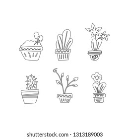 Set Indoor Plants In Line Style On White Background. Vector illustration on white background.