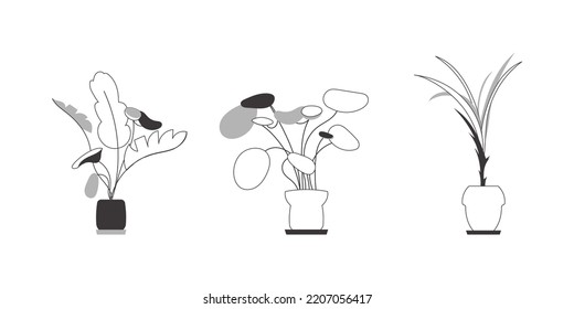 A set of indoor plants. Lineart trendy style. Isolated. Vector illustration.