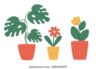 Set of indoor plants in modern pots in flat style