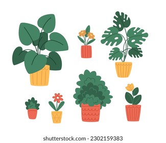 Plantas interiores en ollas modernas de estilo plano