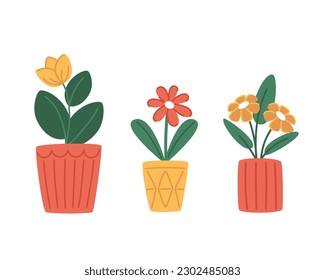 Plantas interiores en ollas modernas de estilo plano