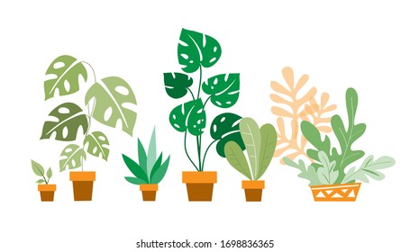 Set of indoor plants on a white background. Vector illustration. Concept spring