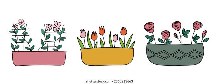 Set of indoor plants on a white background