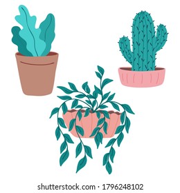 A set of indoor plants in a pot. Cactus. Vector.