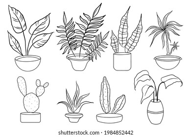 A set of indoor plants in a pot. Linear vector illustration isolated objects on a white background.