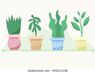set of indoor plants. Plants in pots. Deciduous plants.