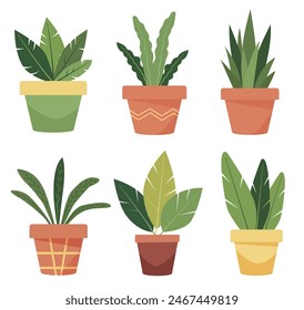 Conjunto de plantas de interior en macetas. Flores interiores dibujadas a mano aisladas sobre fondo blanco. Estilo de dibujos animados. Diseño web, textil, estampado.