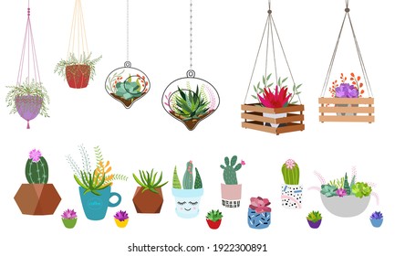 Set of indoor plants in pots for home and office. A large collection of cute houseplants in pots including cacti, aloe and other succulents. Vector collection of doodle plants.