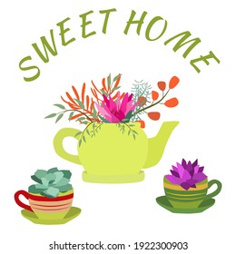 Set of indoor plants in pots for home and office. A large collection of cute houseplants in pots including cacti, aloe and other succulents. Vector collection of doodle plants.