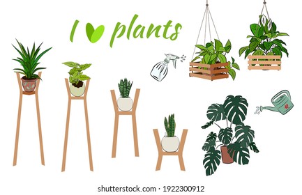 Set of indoor plants in pots for home and office. A large collection of cute houseplants in pots including cacti, aloe and other succulents. Vector collection of doodle plants.