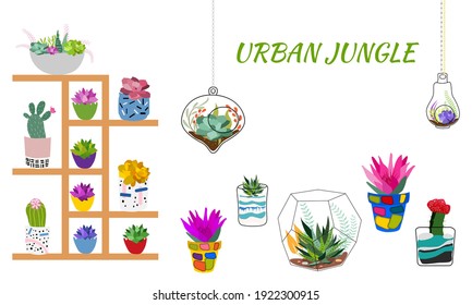 Set of indoor plants in pots for home and office. A large collection of cute houseplants in pots including cacti, aloe and other succulents. Vector collection of doodle plants.