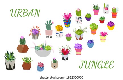 Set of indoor plants in pots for home and office. A large collection of cute houseplants in pots including cacti, aloe and other succulents. Vector collection of doodle plants.