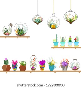Set of indoor plants in pots for home and office. A large collection of cute houseplants in pots including cacti, aloe and other succulents. Vector collection of doodle plants.