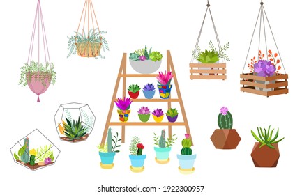 Set of indoor plants in pots for home and office. A large collection of cute houseplants in pots including cacti, aloe and other succulents. Vector collection of doodle plants.