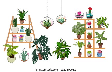 Set of indoor plants in pots for home and office. A large collection of cute houseplants in pots including cacti, aloe and other succulents. Vector collection of doodle plants.